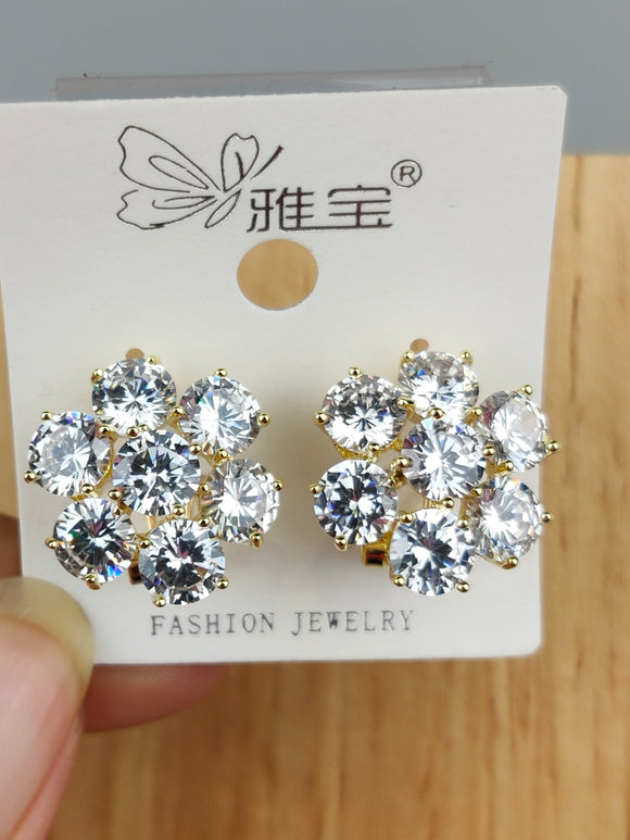 925 Sliver Earrings