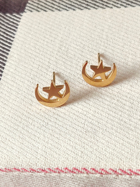 Gold Stainless Steel Stud Earrings