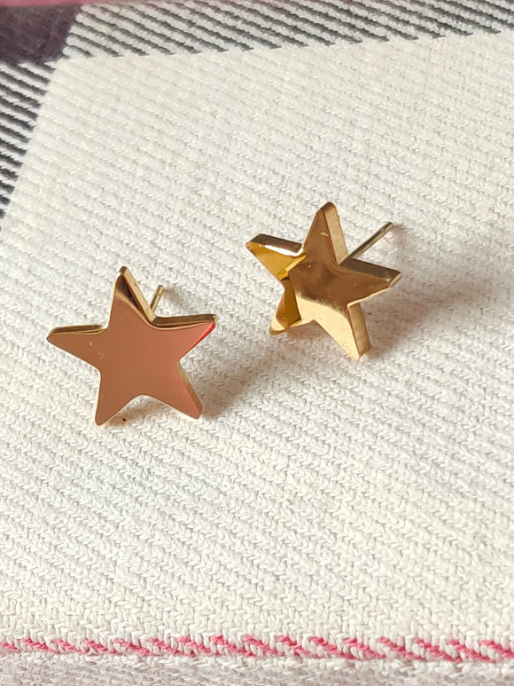 Gold Stainless Steel Stud Earrings